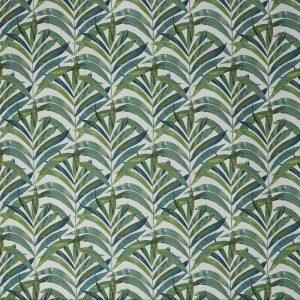 draperii windward cactus