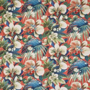 draperii florale moorea coral reef