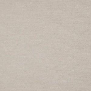 Catifea pentru tapiterie Baron 13 (FiberGuard)