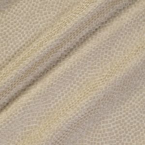 draperii Tesserae Goose