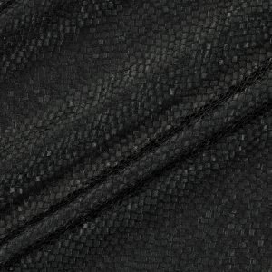 draperii Tesserae Raven