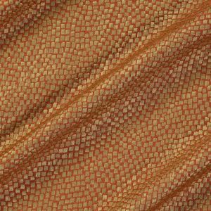 draperii Tesserae Starfish