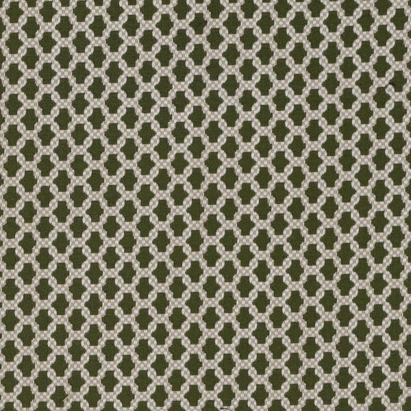 Material textil Assher Perfect Pear